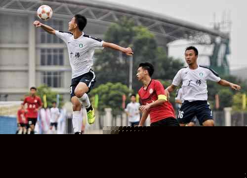 欧冠五轮总结：英超横扫西甲，无惧德甲意甲，唯独法甲一胜难求（欧冠5轮盘点：英超压制西甲，不怵德甲意甲，法甲胜场难觅）